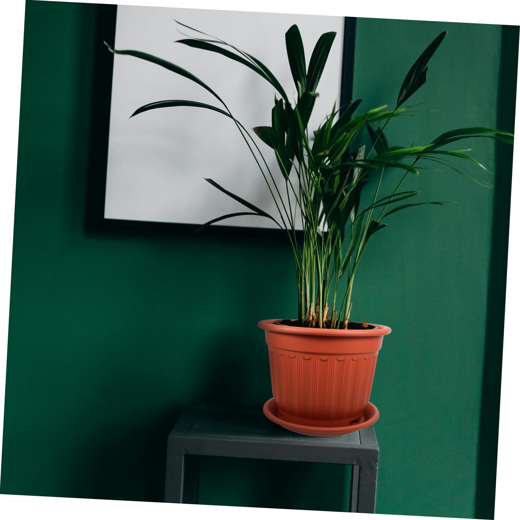 UKCOCO Pot De Fleurs Plastique avec Soucoupe Pot De Pépinière pour Plantes Grasses pour Jardin Intérieur