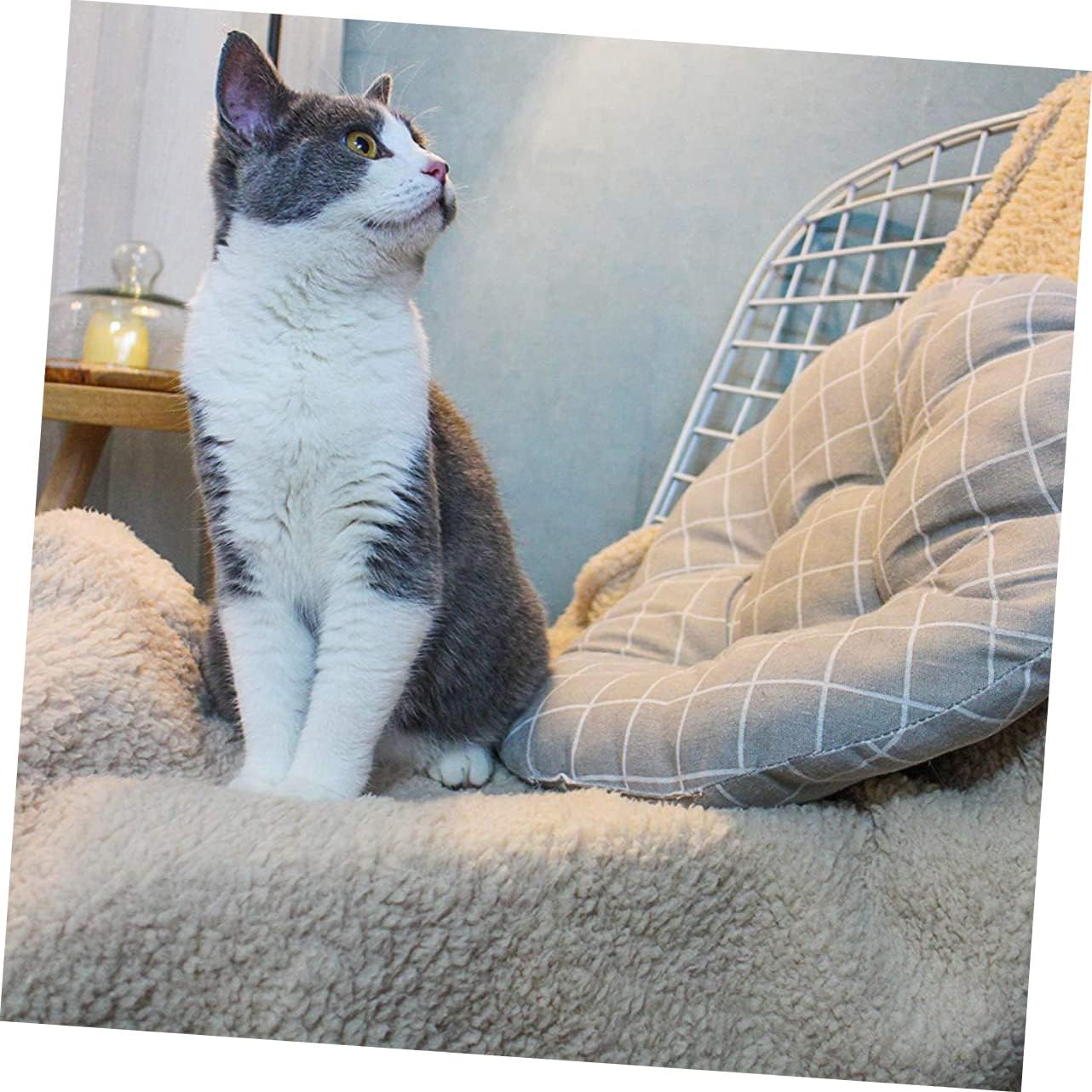 Comfortable Plush Pet Dog Blanket Cushion Beige Lightweight Sleep Mat for Cats Dogs for Home Floor Use Keeps Pets Warm Cold Weather