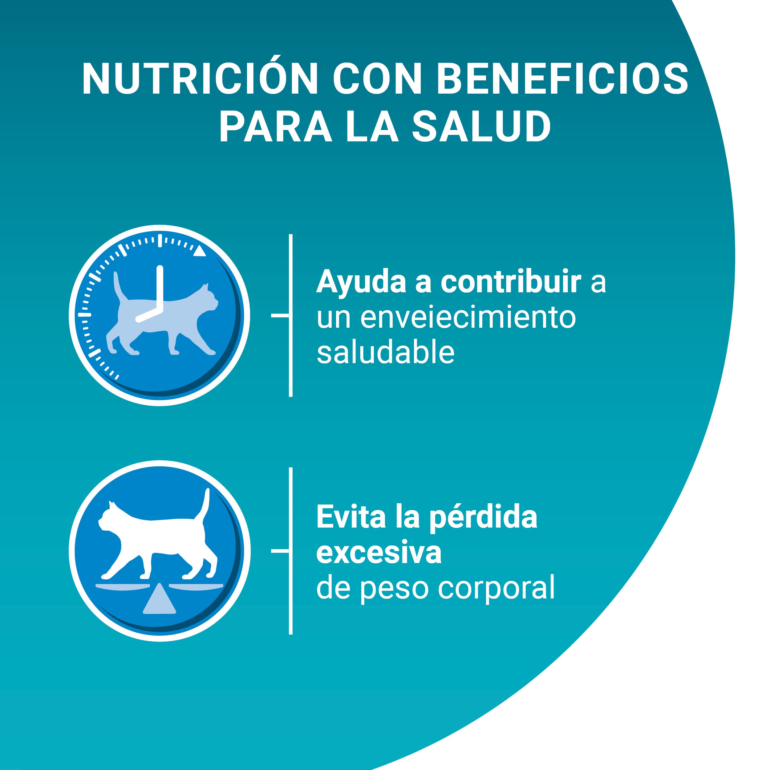 Purina ONE Bifensis pienso gato Adulto Senior 11+ Pollo 6x1,5 kg