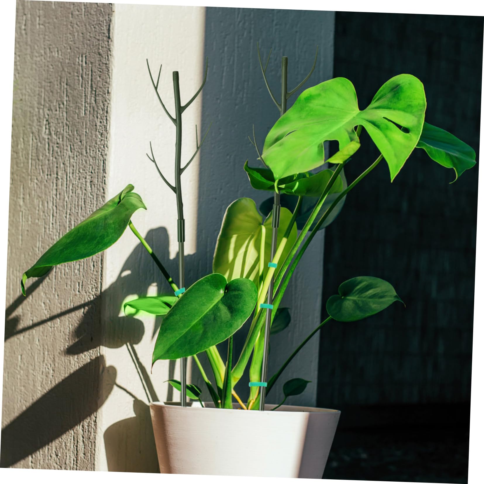 Mikikit Tuteur Plastique Support Extensible, en Vert 1 Set Clips, Attaches pour Plantes Grimpantes, pour Intérieur et Jardin