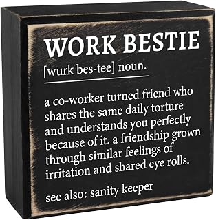 Work Bestie Gifts for Work Partner, Work Bestie Definition Gifts Work Bestie Birthday Gifts Friend Gifts for Work Bestie