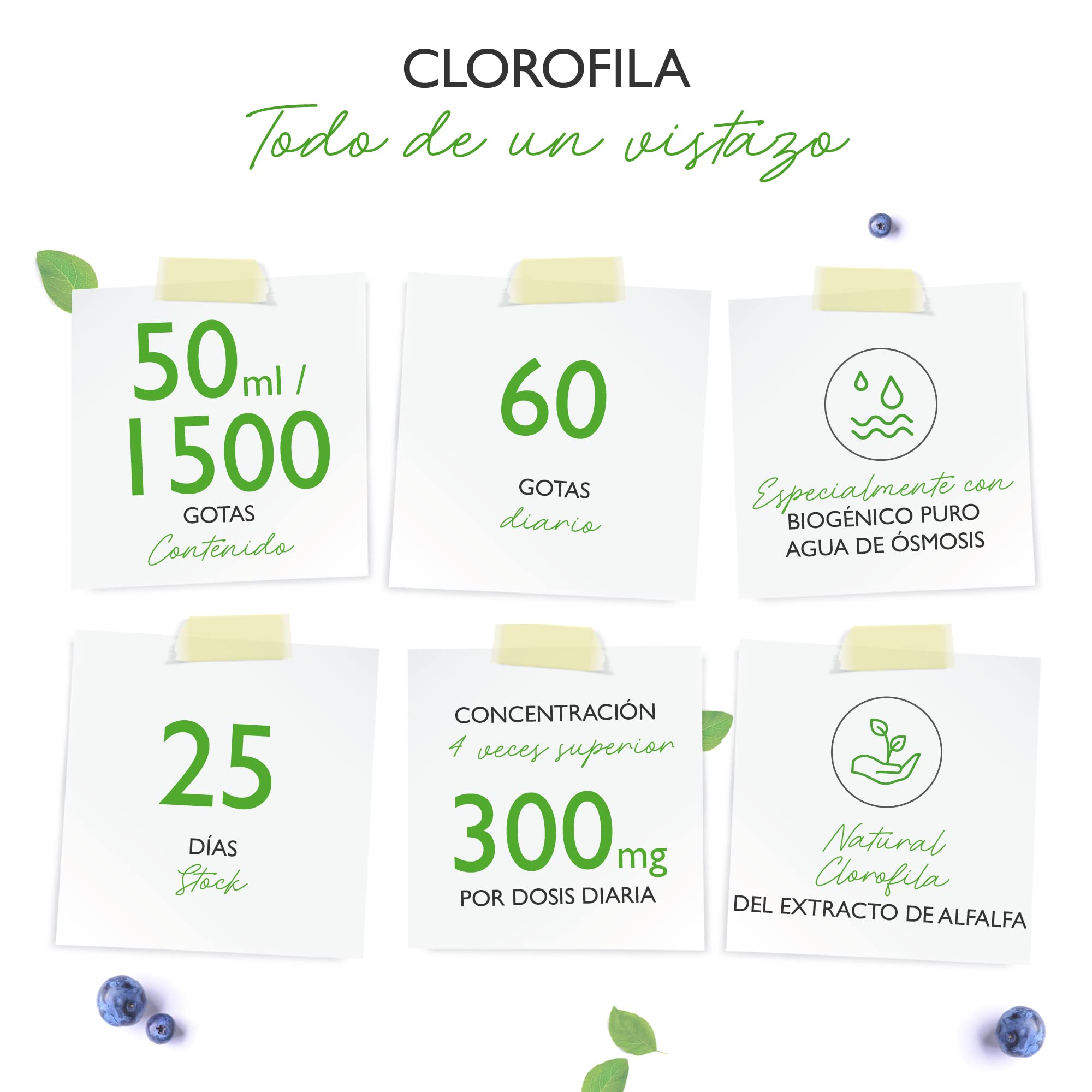 Gotas de clorofila 50 ml - Premium: Dosis hasta 4 veces superior - Clorofila líquida de extracto de alfalfa - Con agua de ósmosis purificada - Vegano