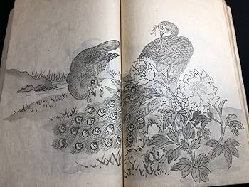 Amazon.co.jp: 1241葛飾北斎 河鍋暁斎 幽霊お化け妖怪松渓筆の光?中国