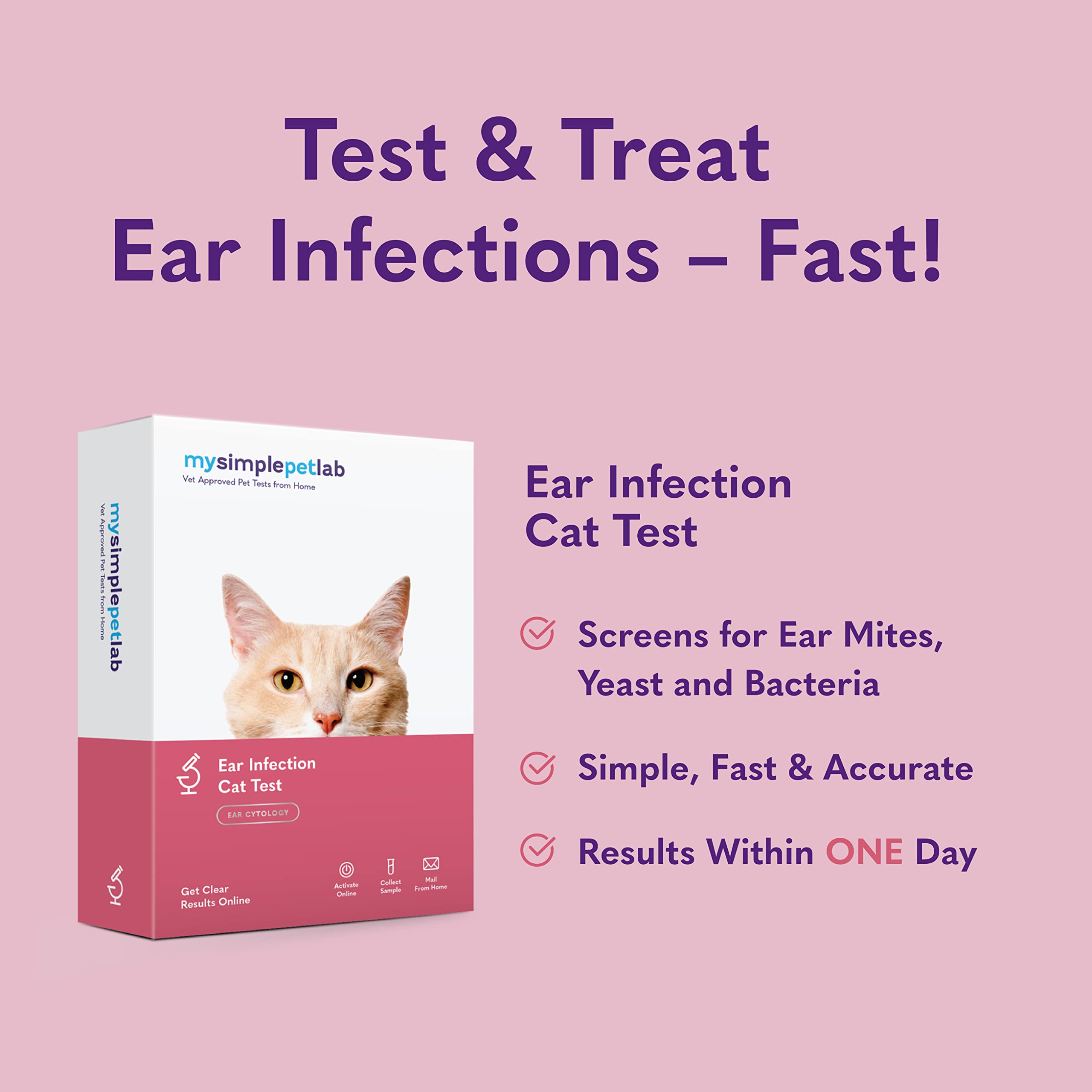 Ear Yeast Infection In Cats - Fungal Ear Infections In Cats Prevention