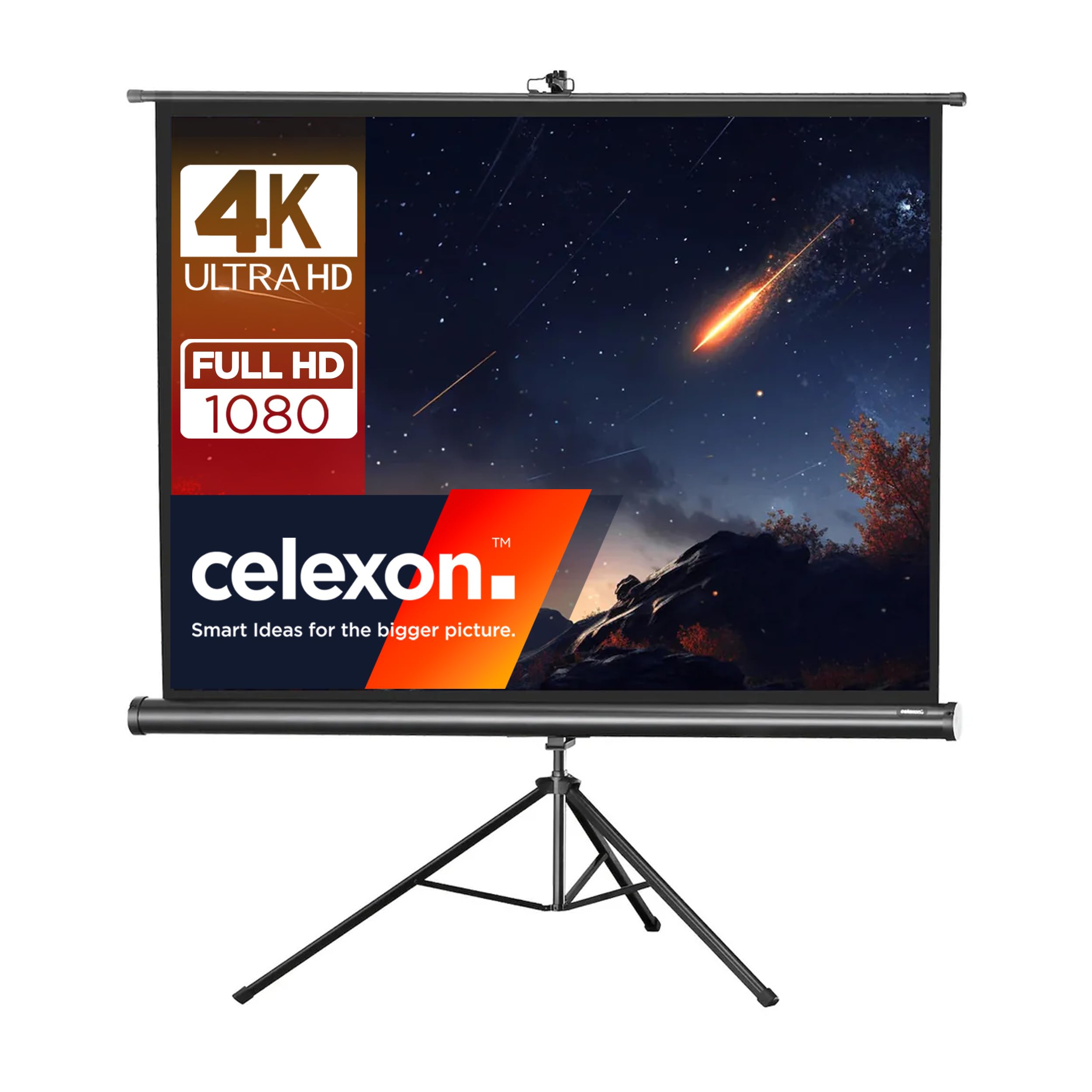 celexon Pantalla trípode para Escuela, proyección, presentación y Cine en casa Básica - Negro - 244 x 183 cm - 120" - 4:3