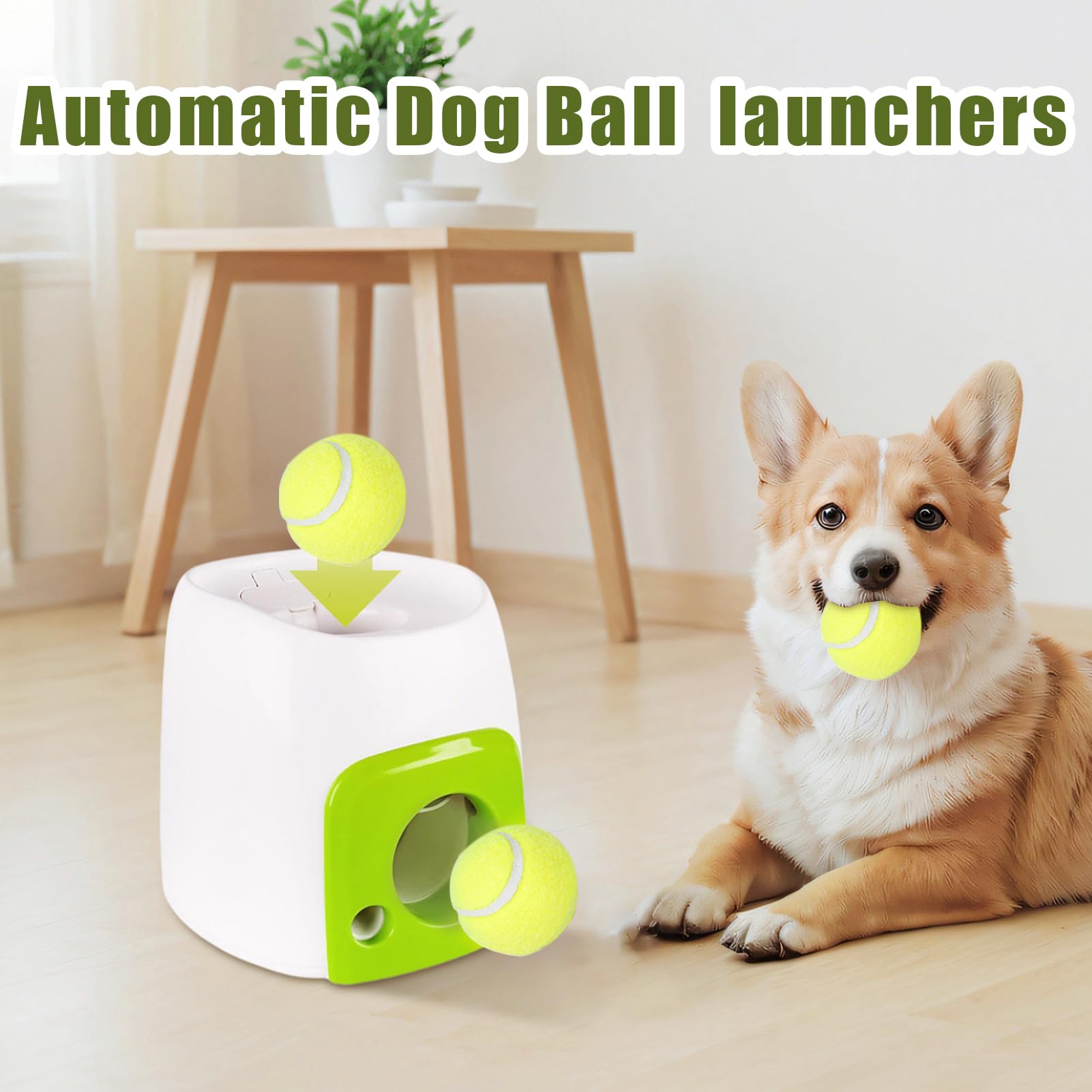 Lancement Automatique de Balle pour Chiens | Lanceur de balles pour Petits Chiens, interactifs récompense pour rapporter Le Rouleau d'activités Amusantes