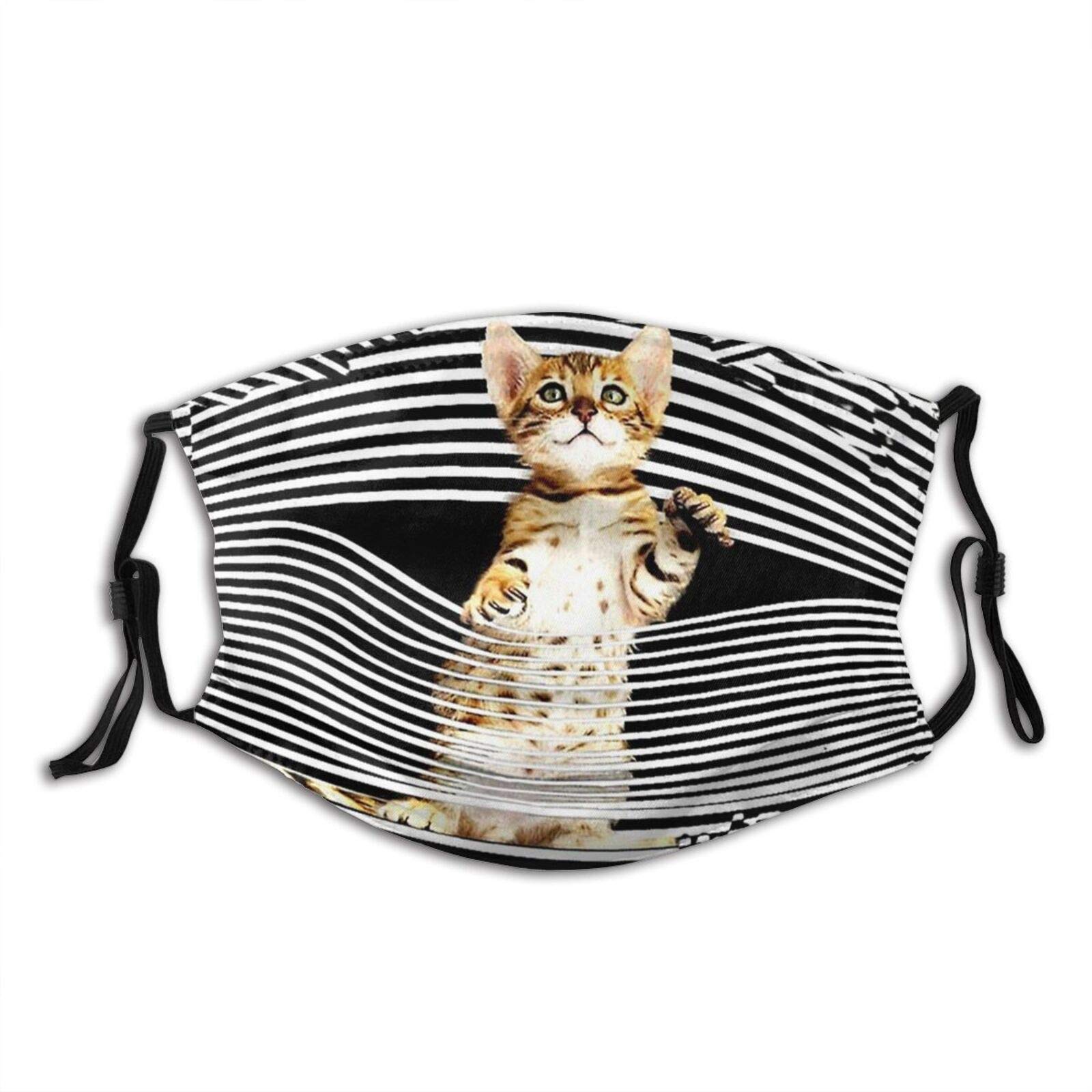 prientomerCute Cat Stripes Face Mask Washable Cute Cat Face/Mouth Cover For Man Women Balaclava With 2 Pcs Filters