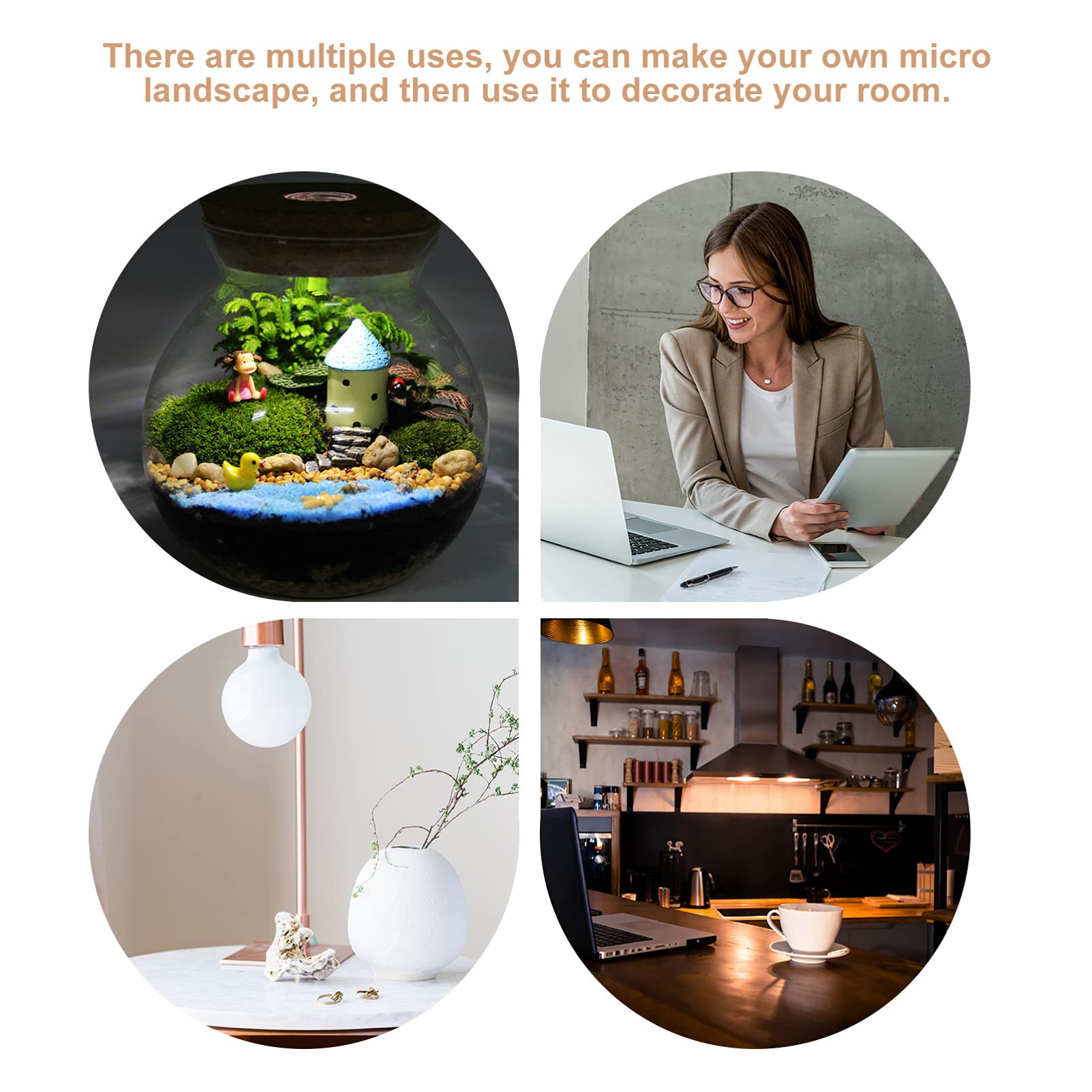 Jojofuny Glas Terrarium Mit LED Licht - DIY Pflanzgefäß Für Sukkulenten & Luftpflanzen Mit Korkdeckel