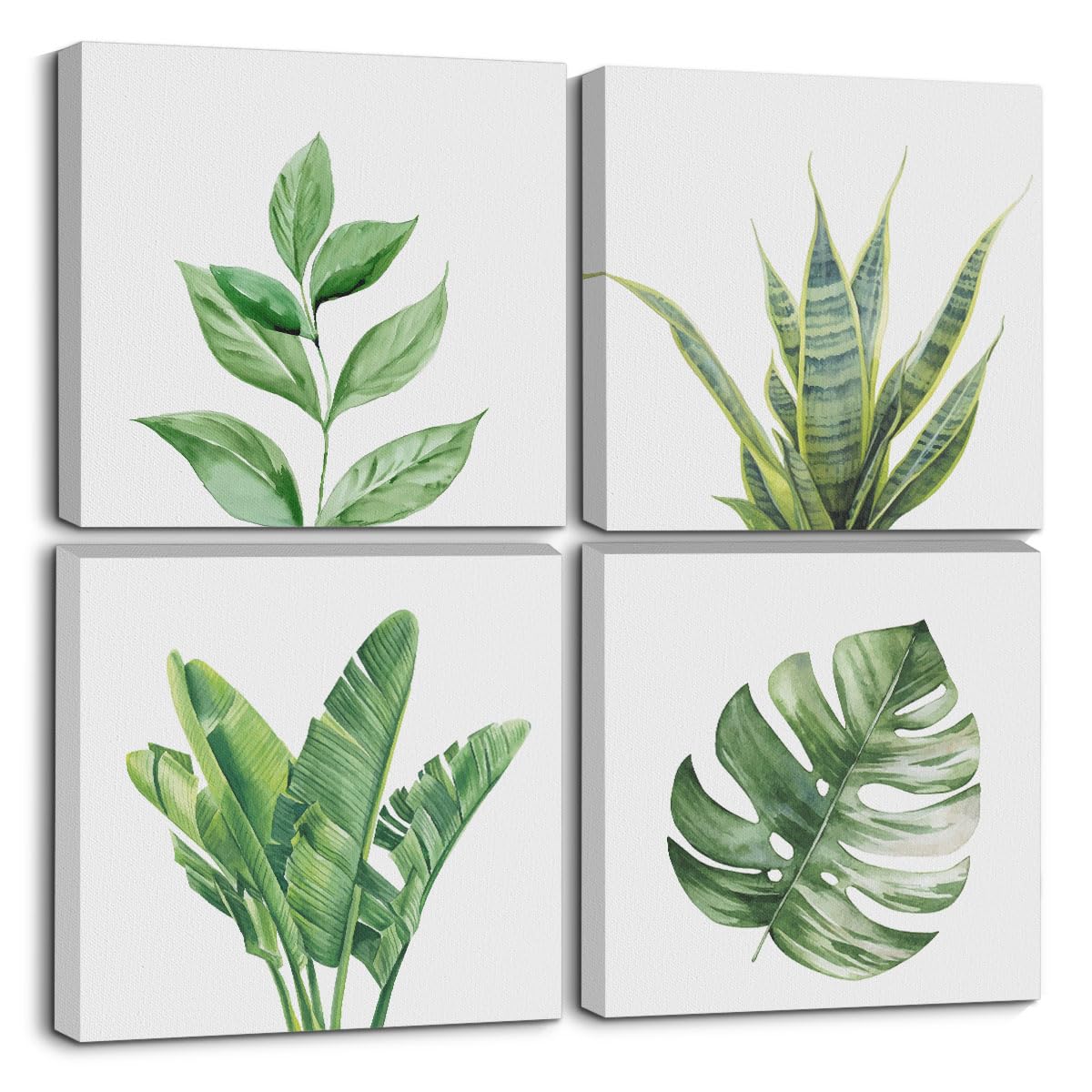 4 Pcs Watercolor Plant Canvas Wall Art Framed Plants Decor Art Posters Pictures Wall Decor Tropical Plants Green Leaves for Decoration boho decor Artwork for Walls Home Bedroom Office
