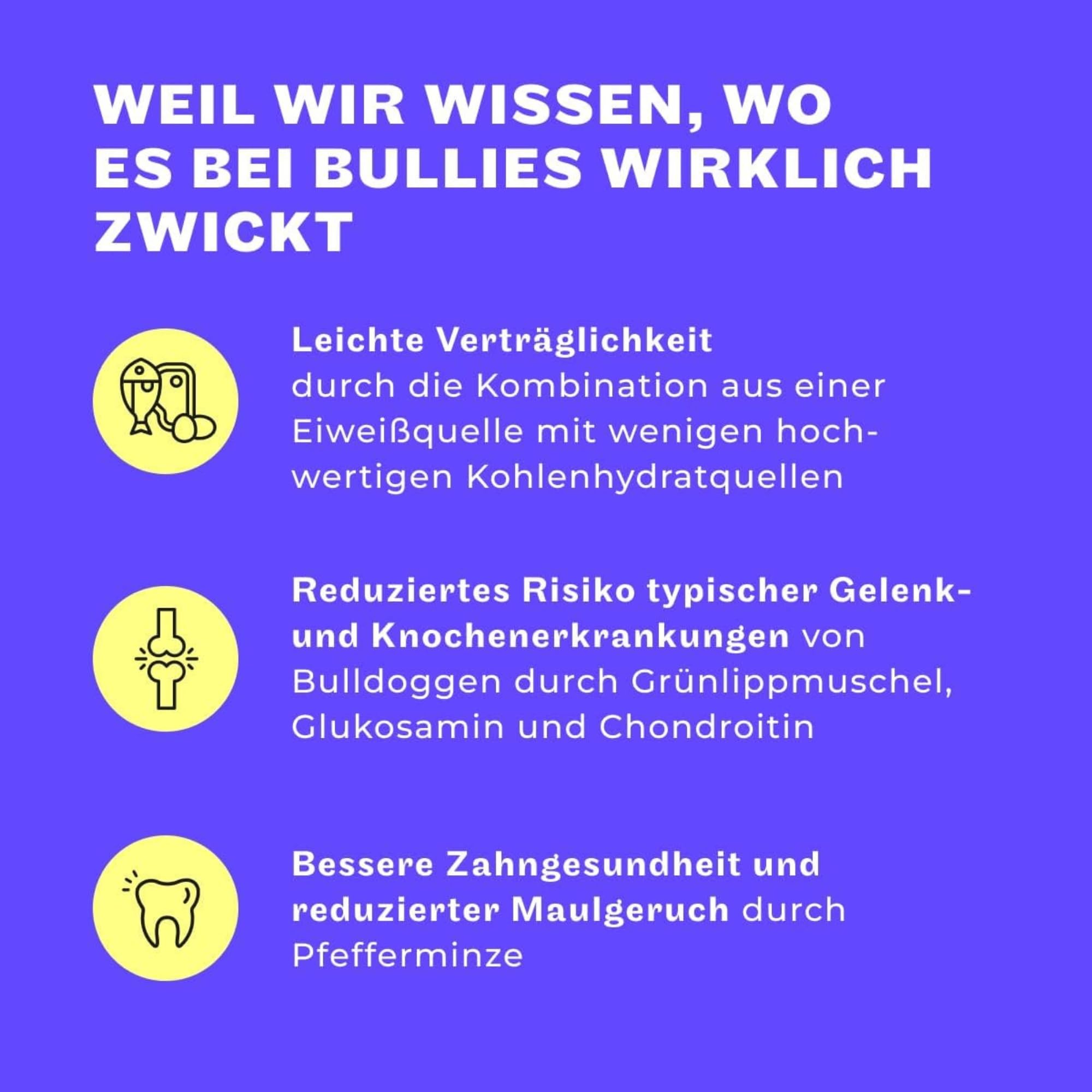 HEY HOLY Premium Nassfutter für Bulldoggen | 6X 750g Hundefutter für ausgewachsene Bulldoggen mit Lachs | Hochverträglich aus natürlichen Zutaten