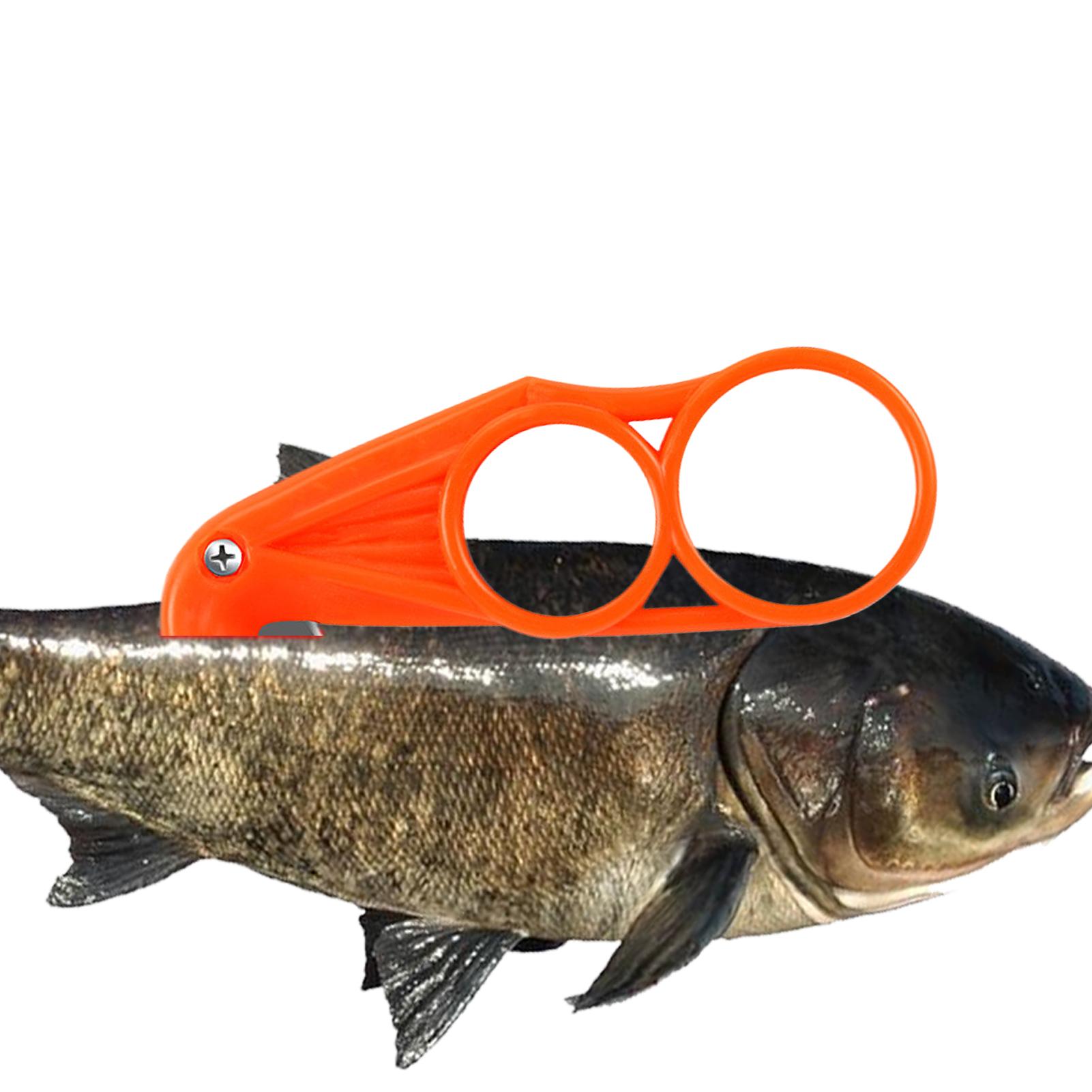 Amazon | 魚腹カッター、魚切断ツール - フィッシュカッター 釣り道具