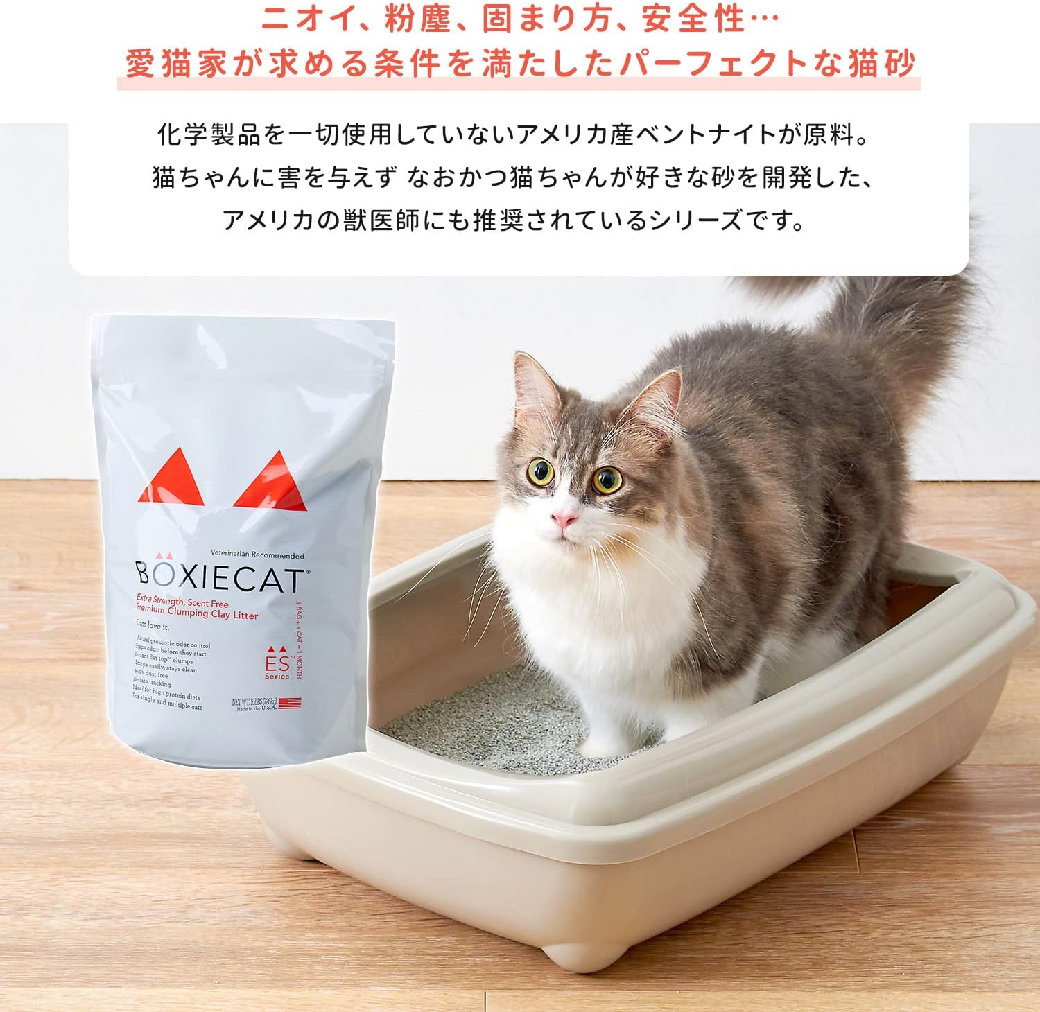 Amazon オーエフティー Boxiecat オレンジ ボクシーキャット 7 2kg 固まる猫砂 ベントナイト オーエフティー 猫砂 通販