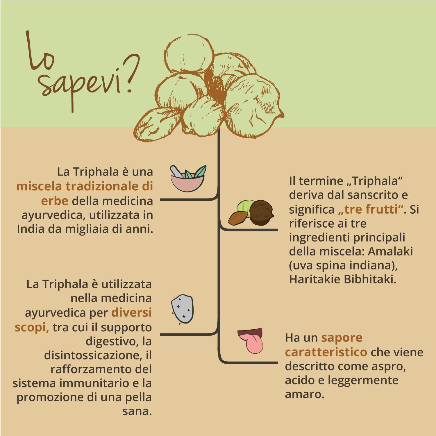 TRIPHALA BIO Vegavero® | 650 mg per capsula | 180 capsule | Depurativo & Disintossicante naturale | Medicina Ayurveda | Vegan