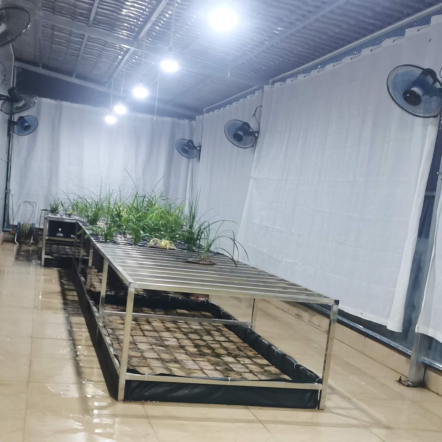 80% Sunblock Shade Cloth with Grommets, White Sun Mesh Shade Tarp HDPE Outdoor UV Resistant Shade Cover 1x1.0m 2x3.0m 3x4.0m 4x6.0m 5x6.0m Greenhouse Shading Netting(1.0x3.0m(3.3x9.8ft))