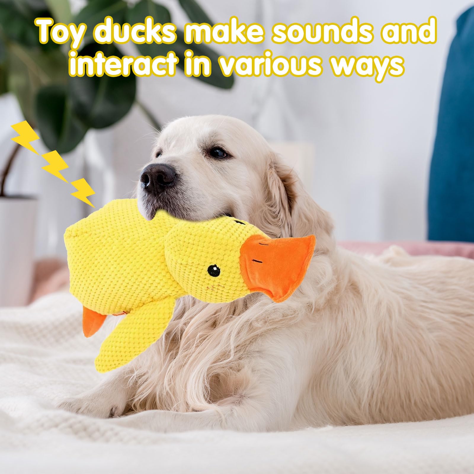 Jouet Canard Anti-Stress pour Chien, Jouet Sonore en Peluche, Calmant et Interactif pour Chiens Petits et Moyens