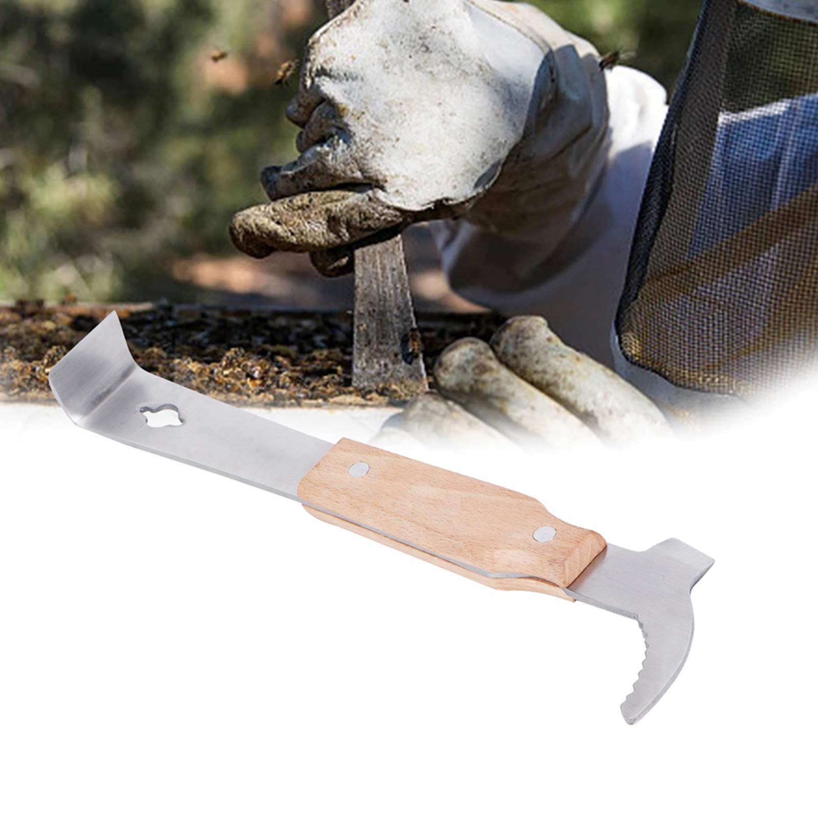 Cosiki - Attrezzatura per apicoltori, in Legno Robusto, Raschietto per in Acciaio Inox, ad Alte Prestazioni, con Foro per Appendere Il Giardinaggio e Il Lavoro per