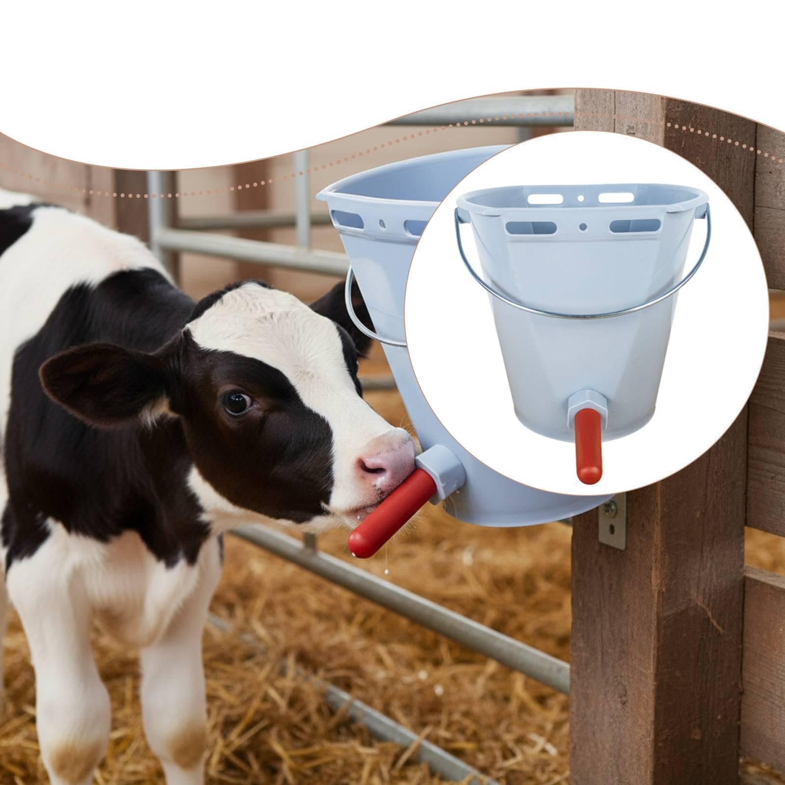 Secchio per Vitelli Contenitore 8L Capezzolo Alimentazione Graduato Manico Robusto Pp Resistente Adatto per Vitelli Neonati Stalle Dimensioni, Grigio con 1 Capezzolo