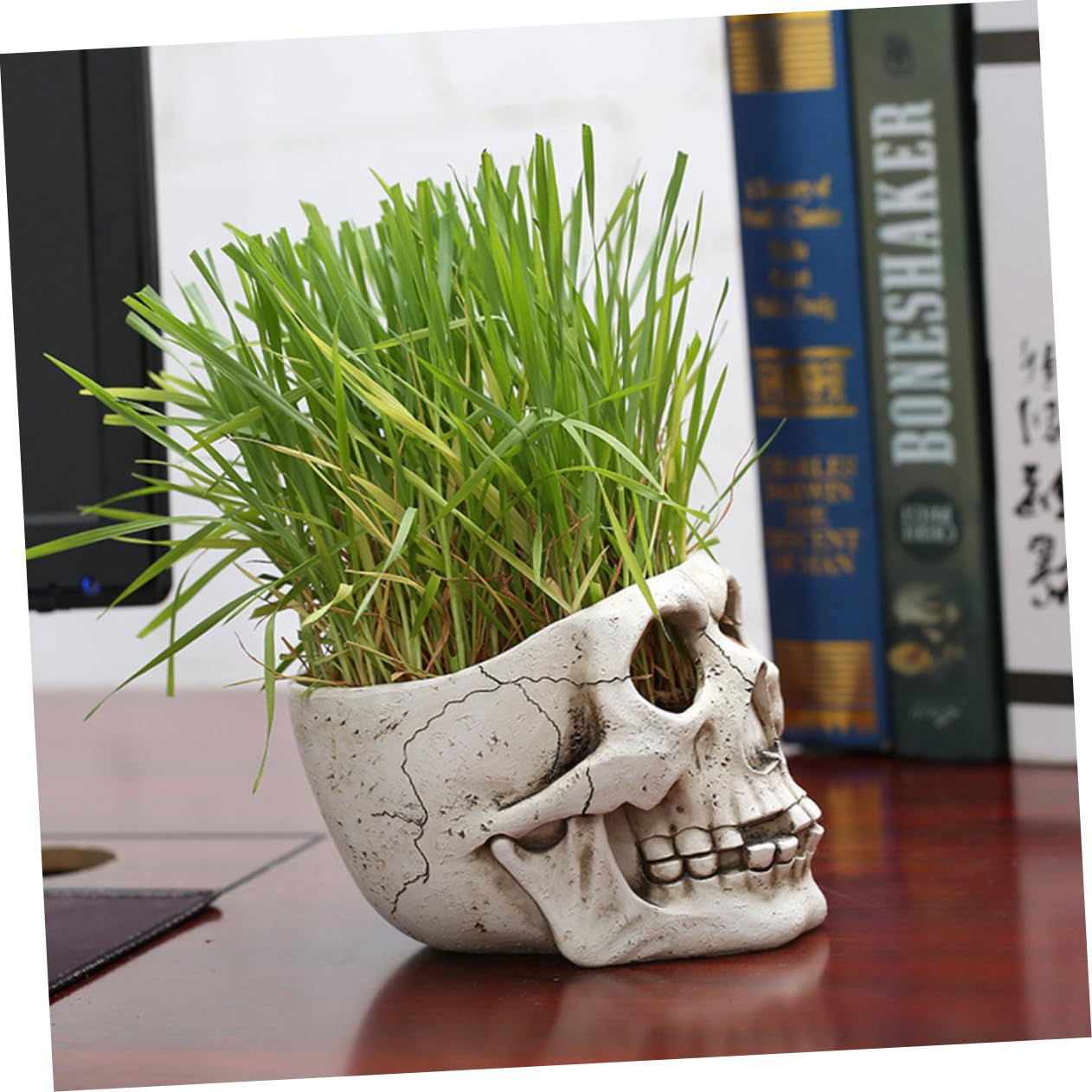 Amazon.co.jp: FBITE ドクロ鉢ドクロ形多肉鉢草サボテン花瓶幽霊が出る