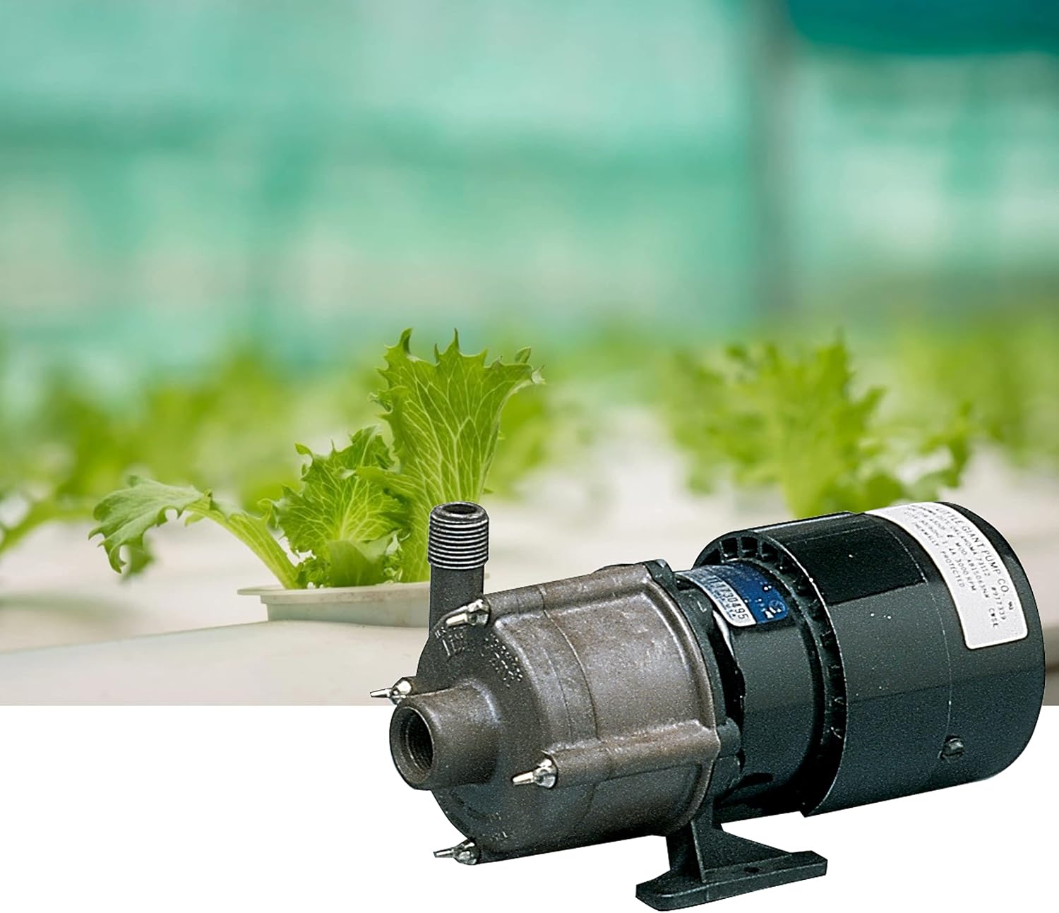 One-Day Sale: Up to 50% Off Little Giant 581614 TE-3-MD-HC Chemical Pump 1/20 Hp Hottest Sale Little Giant 581614 TE-3-MD-HC Chemical Pump 1/20 Hp