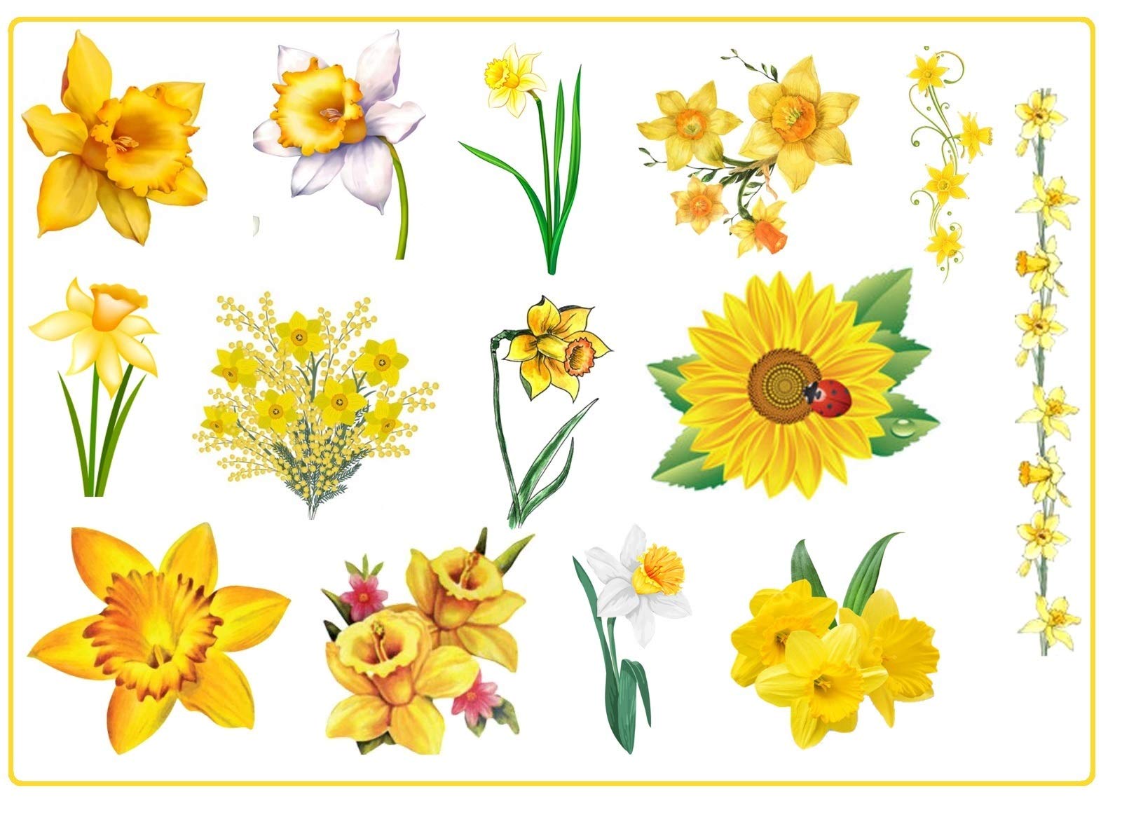 Daffodil Flower Collection (Daffodil Temporary Tattoos)
