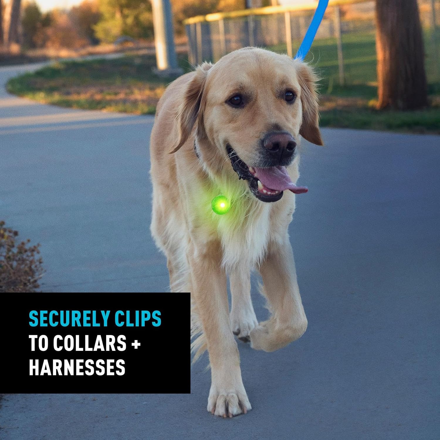 Nite Ize SpotLit Rechargeable Collar Light - 3.5-Hour Runtime - Harness & Dog Collar Light for Walking, Hiking & More - Weather-Resistant Construction for Busy Streets & Big Backyards - Green