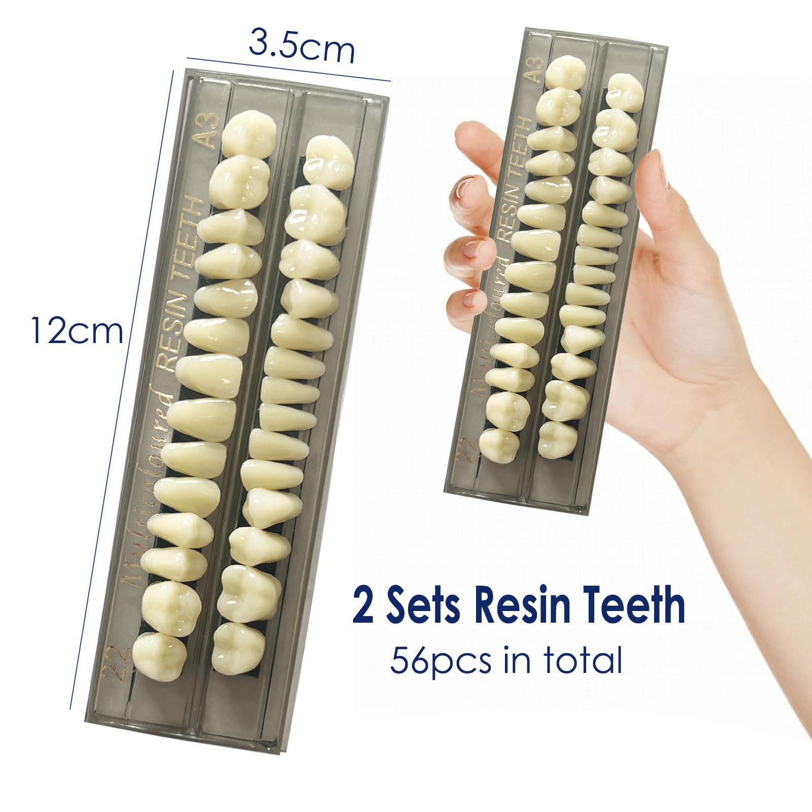 Lot de 56 fausses dents en résine synthétique - 22 A3