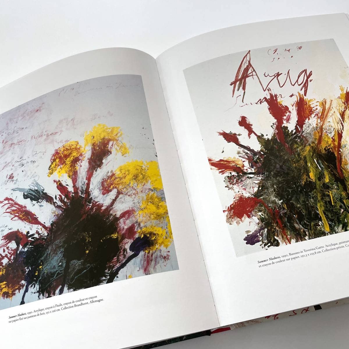 Amazon.co.jp: CY TWOMBLY 画集 写真集 作品集 Sous le signe d 