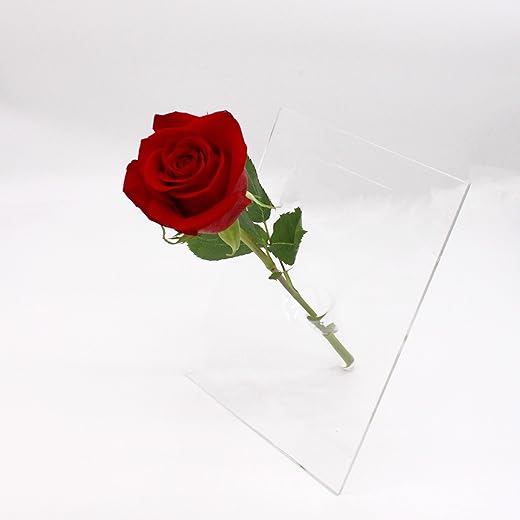 KENTIS - Single Rose in Elegant Vase - Real Fresh Roses at Home - Anniversary Gift Idea for Girlfriend Wife Mom (Rose in Elegant Vase, Red Rose)