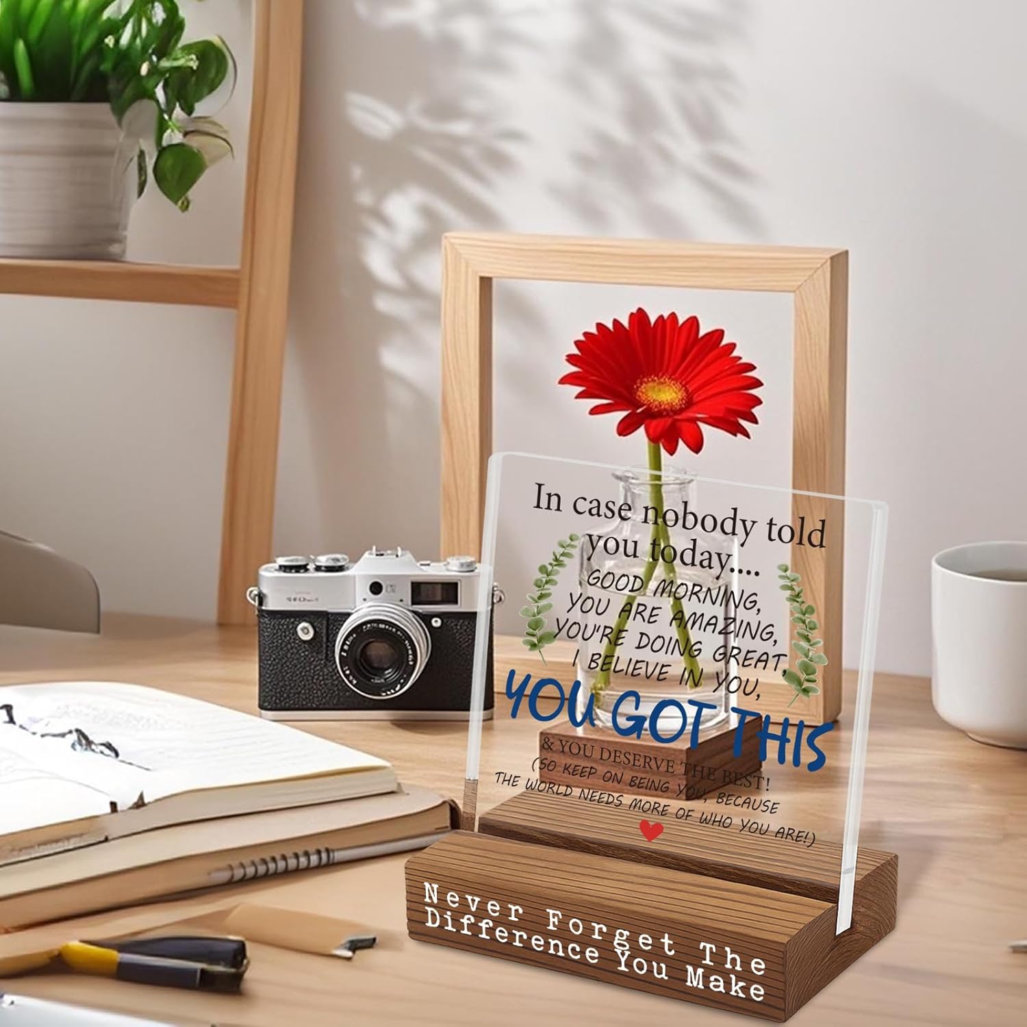 You Got This Motivational Desk Sign, Encouragement Gift for Coworker Friend Teacher Nurse, Inspirational Office Table Decor for Women Men, Uplifting Quote Plaque for Appreciation Birthday EC326 - Image 3