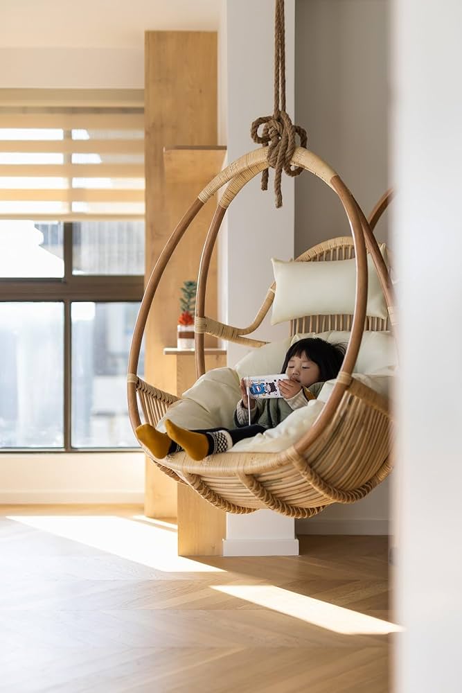 Amazon.co.jp: [JIMSHUINIO] ハンギングチェア 吊り下げ式