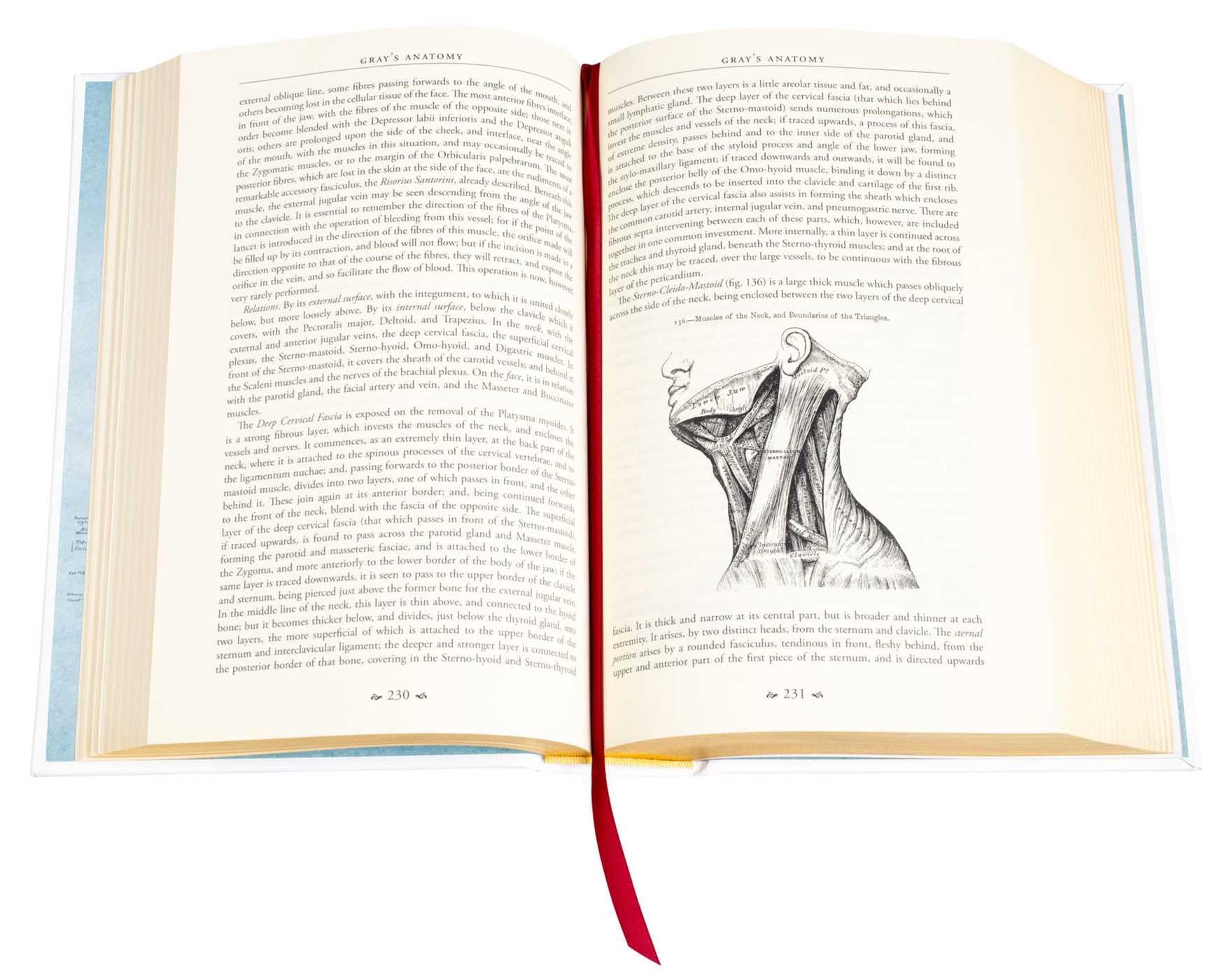 Gray's Anatomy: Anatomy Descriptive and Surgical