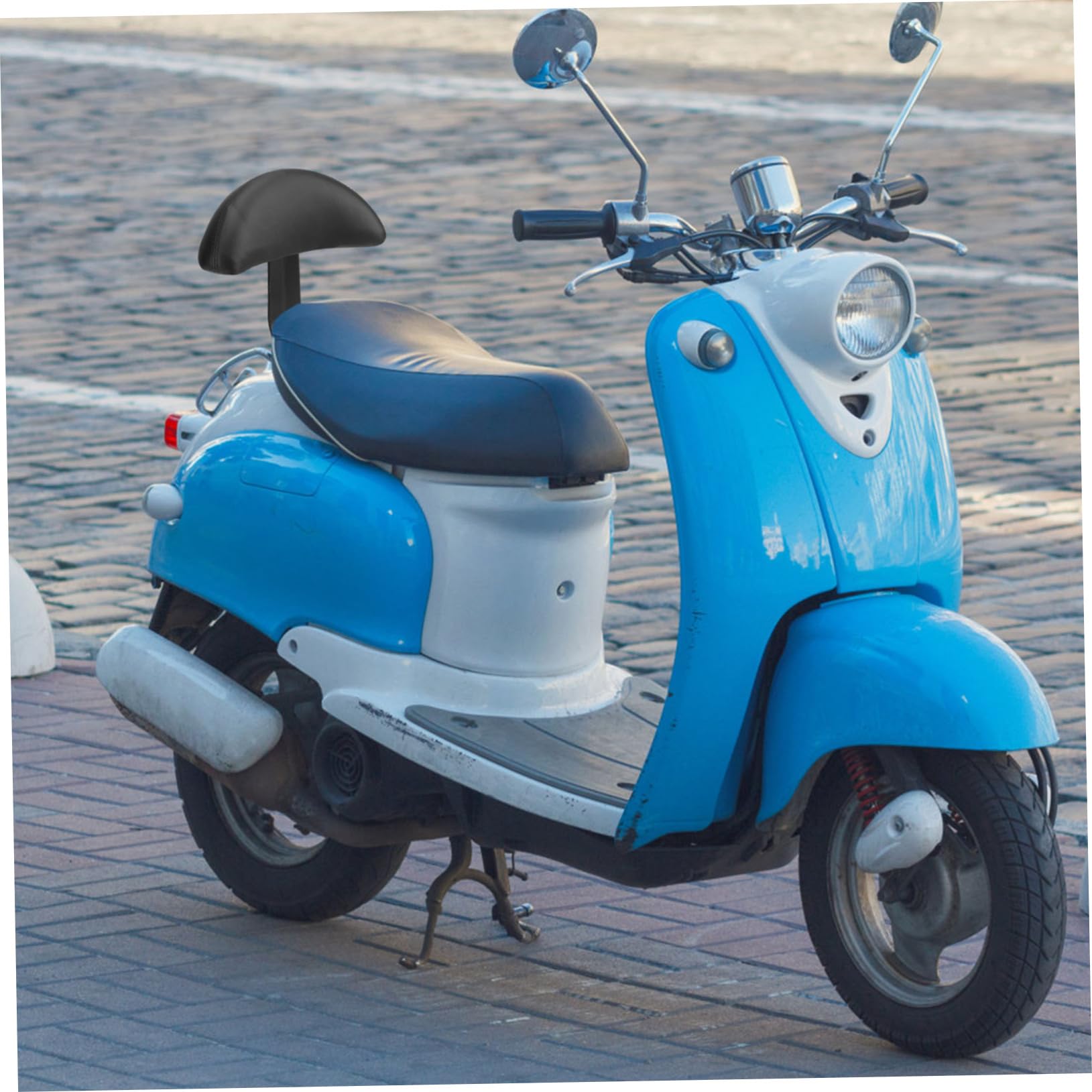 WOONEKY 1pezzi Schienale Posteriore per Bicicletta Poggiapiedi per Ragazzo Ragazza Ragazza Facile Installazione Robusto e Durevole Leggero Sicuro per Pedalata