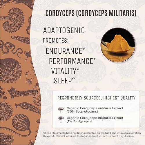 Miniatura 3 de Hamilton's Crucial Cordyceps  Polvo de extracto de hongo orgánico para resistencia y apoyo inmunológico  Alta potencia  30% beta-glucanos  Sin