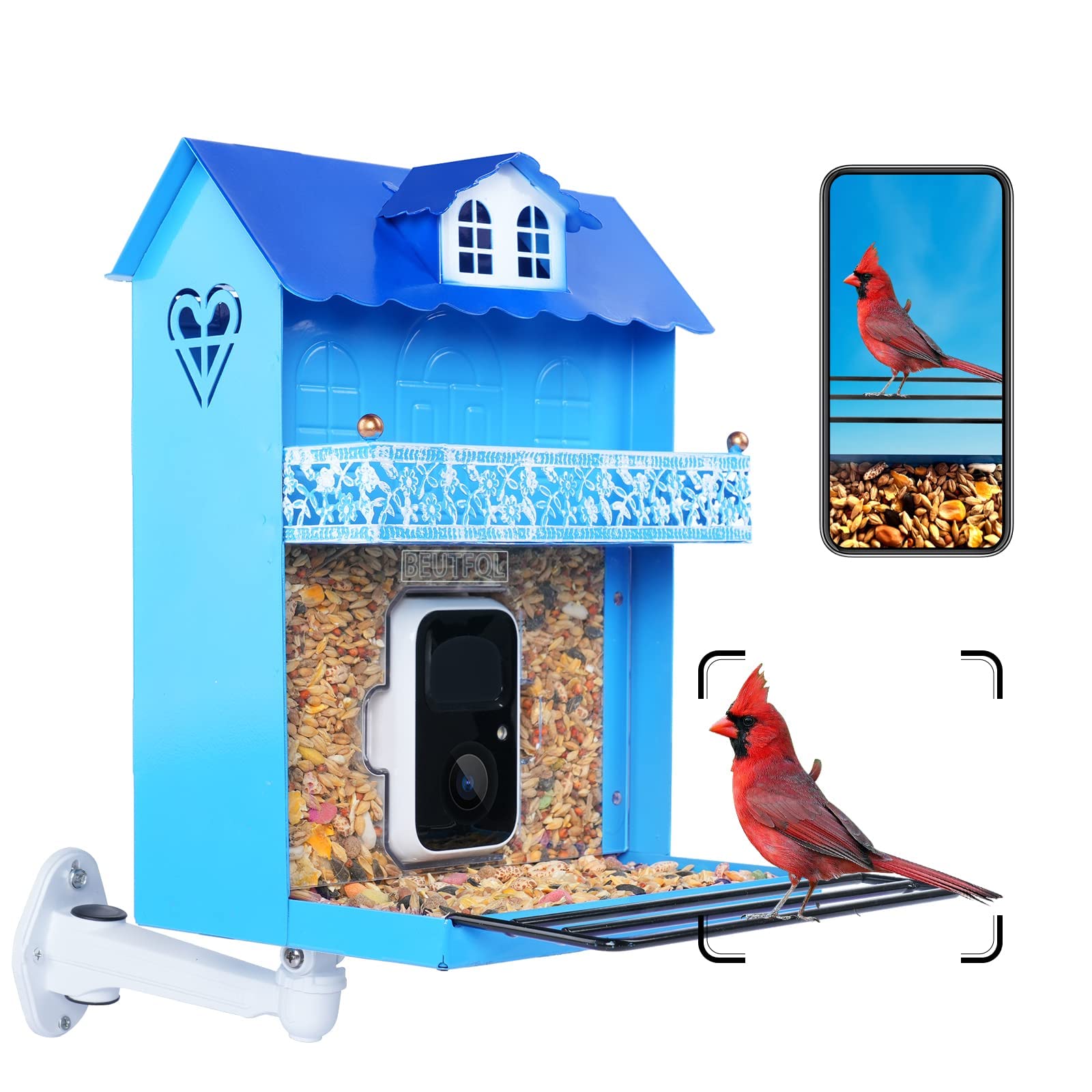 10 Best Bluebird Bird Feeders with Camera for Capturing Stunning