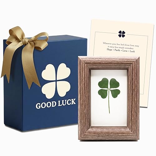 Real Four Leaf Clover Framed Gift - Unique Good Luck