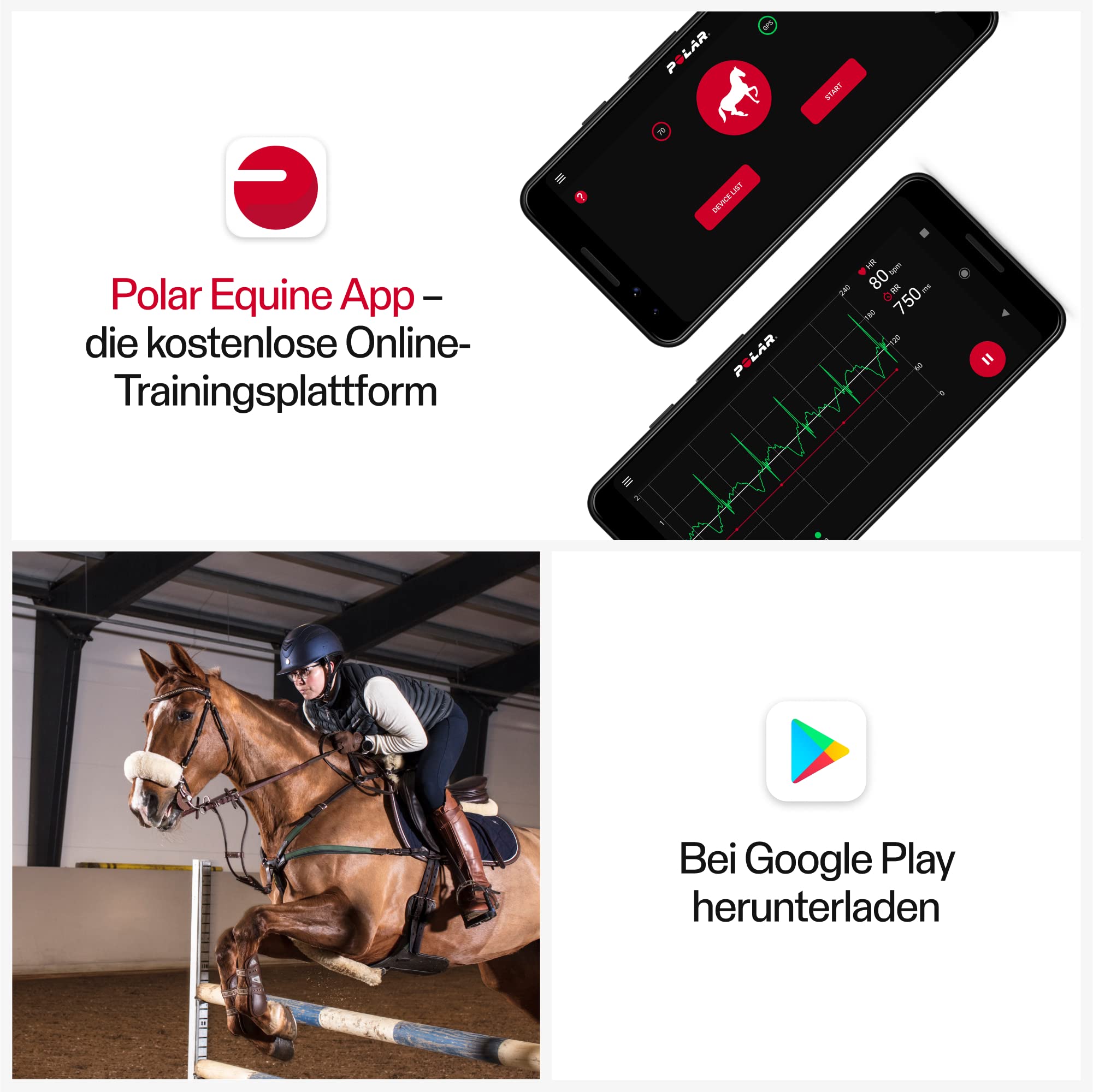 Polar Equine Herzfrequenzmesser für Pferde – H10 Sensor mit wasserdichtem Brustgurt für Trabrennen und Reitsport.