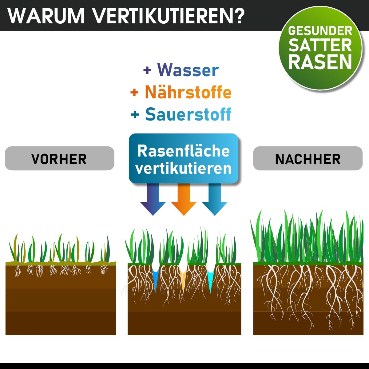 BRAST Akku-Vertikutierer Rasenlüfter 40V | 2x 4,0Ah-Akkus | 38cm Arbeitsbreite | 2in1 Funktion | 5-stufig einstellbare Arbeitstiefe | inkl. Schnellladegerät | 50L Fangsack | für Flächen bis 500 m²