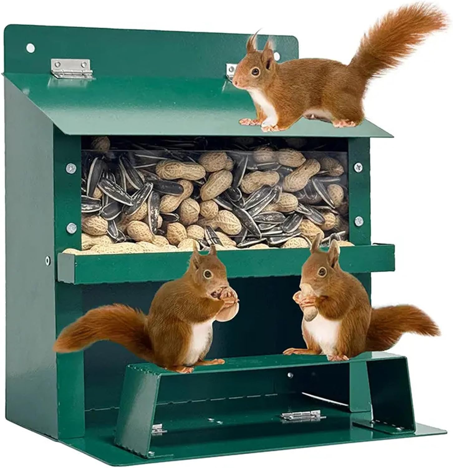 Squirrel Feeder 9×8×6in Metal Squirrel House with Clear Window & Stand Foldable Heavy Duty Box for Corn, Nut, Peanut, Outside Feeder, Feeders, Feeders for Outside, Sq