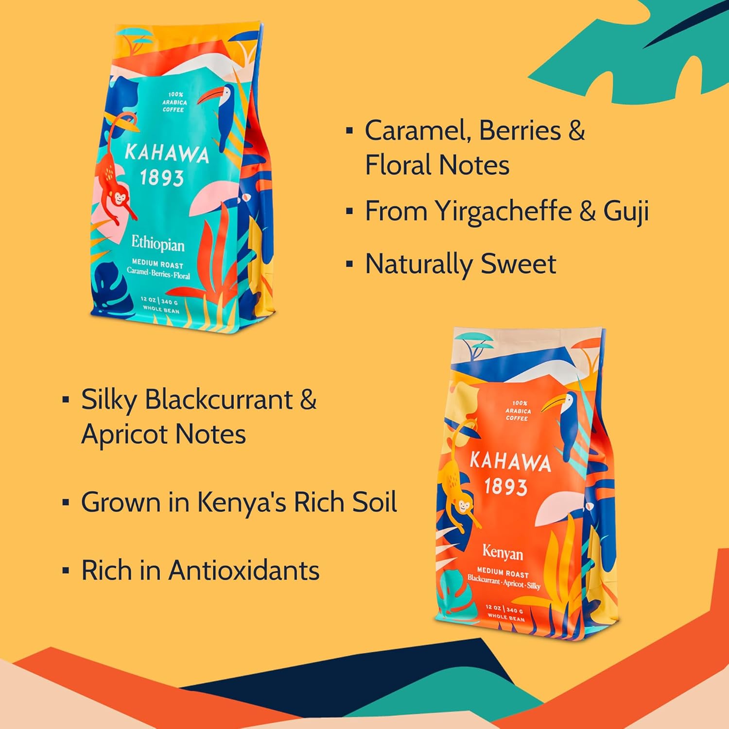 Kahawa 1893 Whole Bean Coffee Combo Pack Kenyan & Ethiopian Blend (12 Oz x 2) - As Seen on Shark Tank, High Antioxidants, Naturally Sweet, Organically Grown, Ethically & Sustainably Sourced