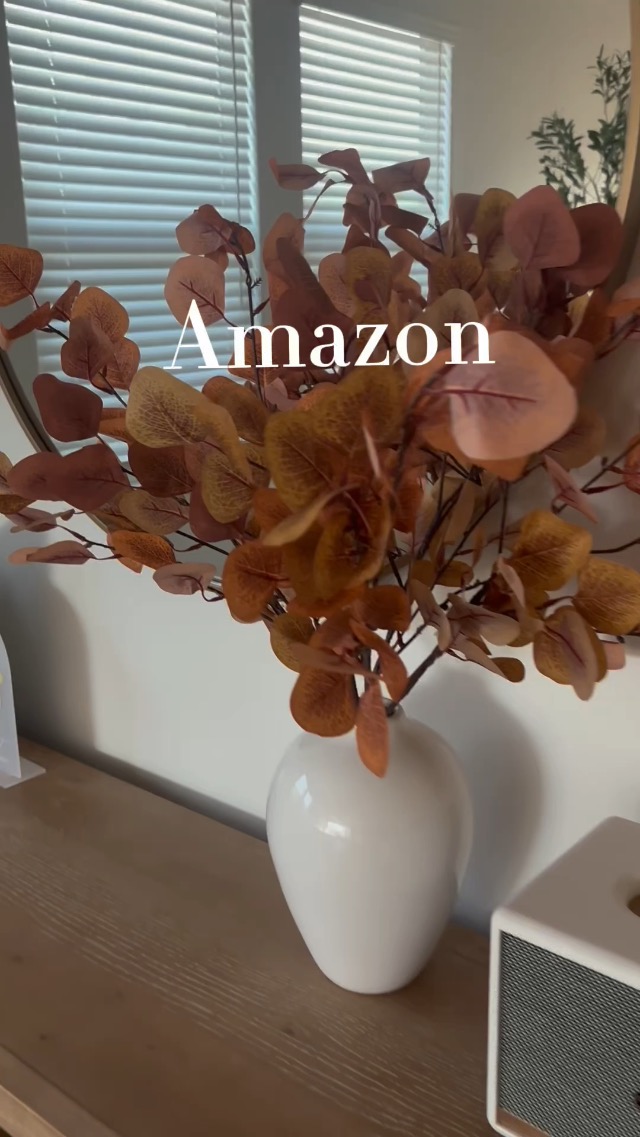 Watch Amazon Fall Finds on Amazon Live