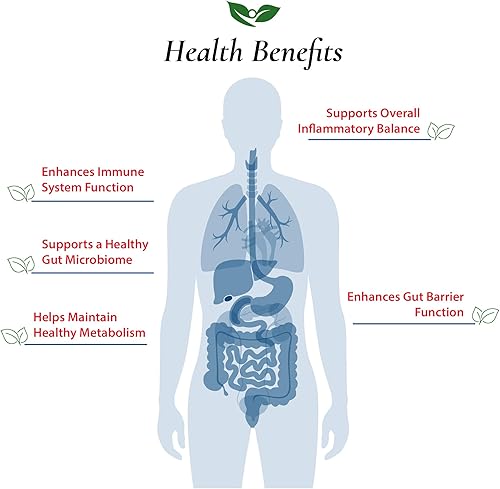 Miniatura 4 de Akkermansia Muciniphila Pasteurizado Polvo 100 mil millones de TFUg