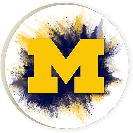 Michigan Coasters: A Vibrant Touch of Team Spirit for Your Car