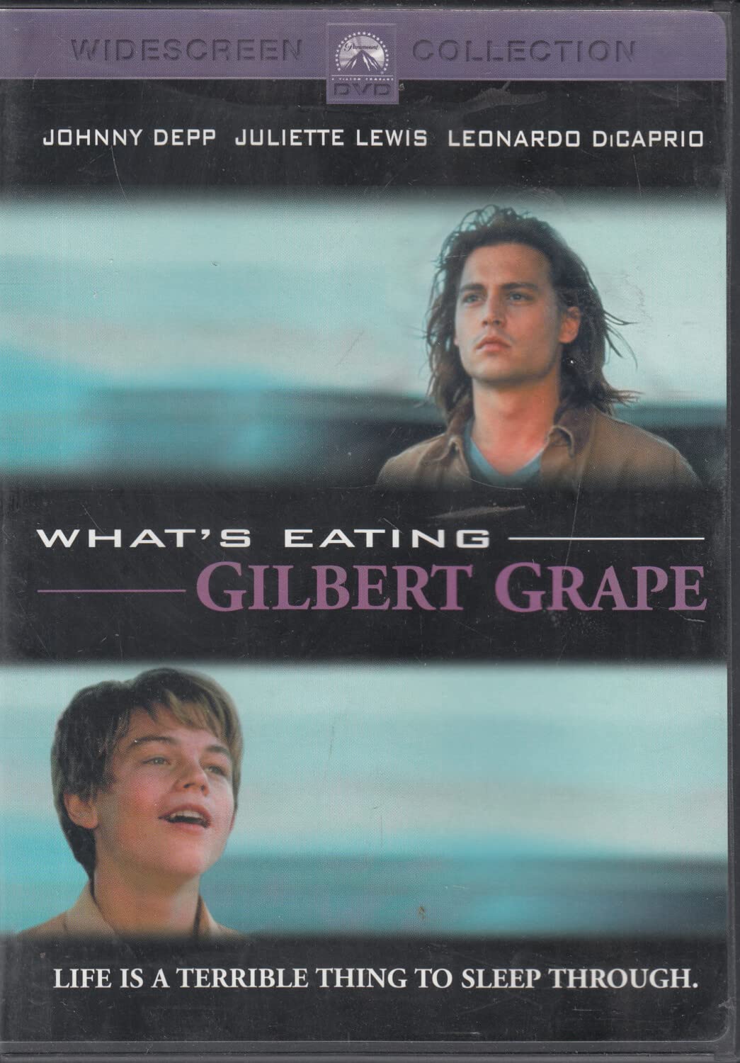 What's Eating Gilbert Grape (Widescreen) [DVD]