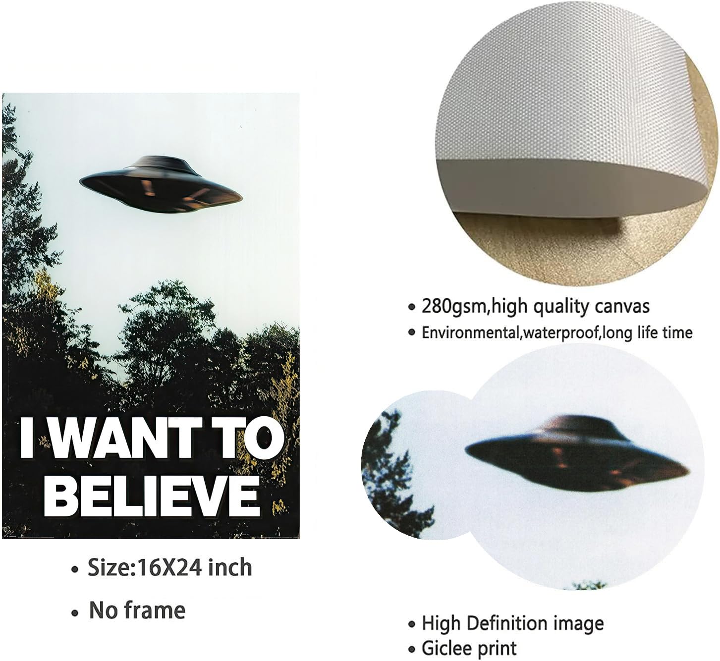 Amazon.co.jp: The X Files I Want To Believe ポスター-I Want