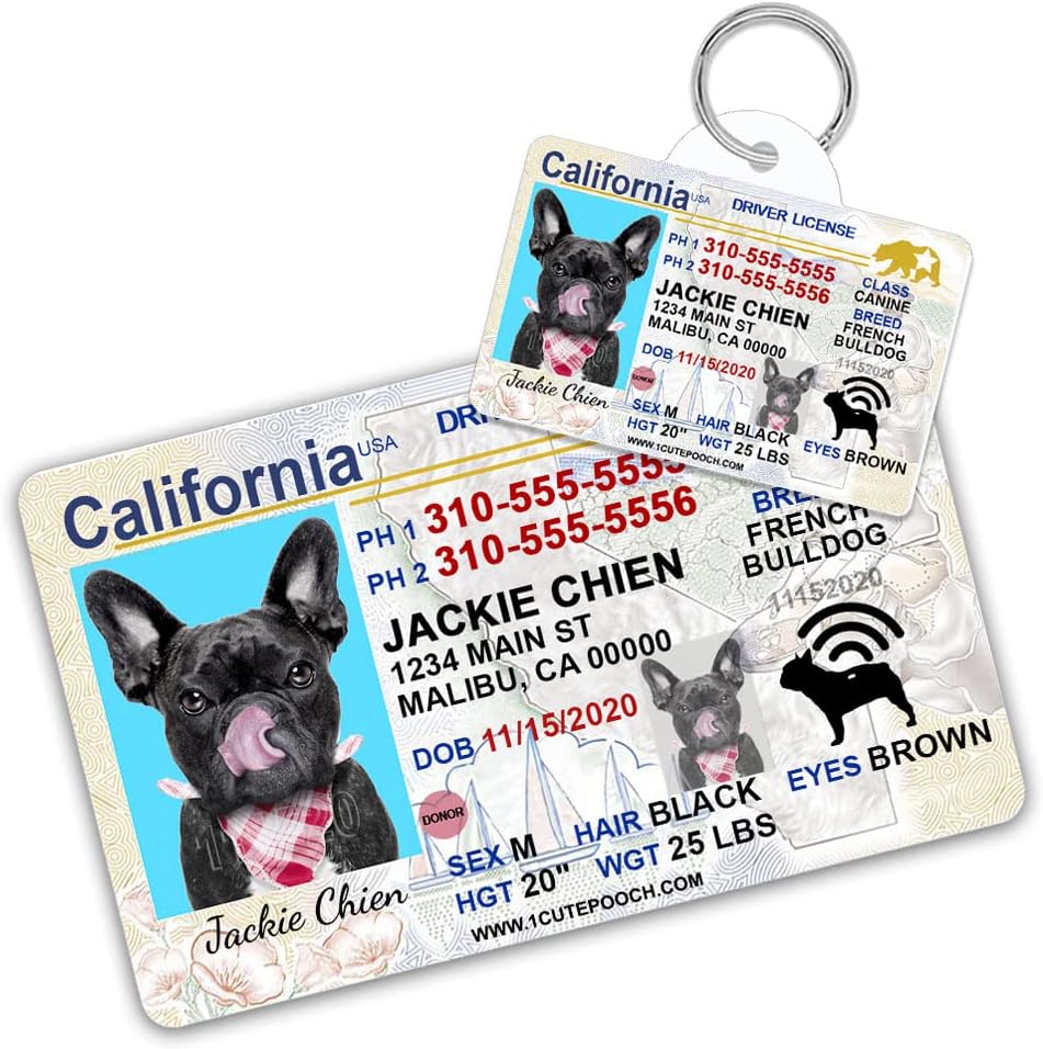 California Driver License Custom Dog Tag for Pets and Wallet Card – Personalized Pet ID Tags – Dog Tags for Dogs – Dog ID Tag – Personalized Dog ID Tags – Cat ID Tags – Pet ID Tags for Cats