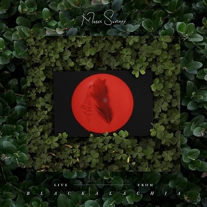 Live From Blackalachia [Disco de Vinil] por Moses Sumney — capa do álbum