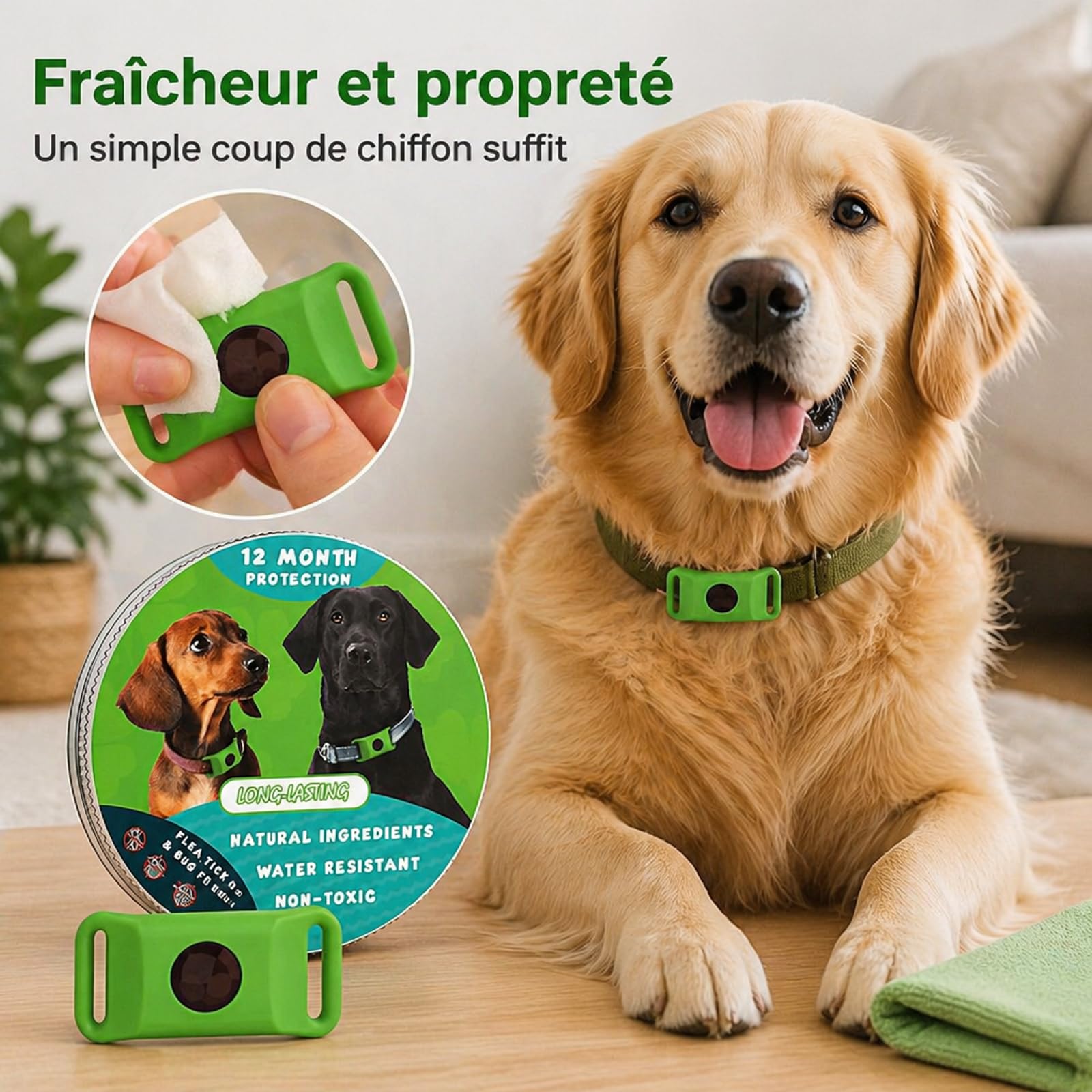 Pendentif Everly Chien - Nouveau Pendentif antiparasitaire Naturel pour Animaux 2026, Médaille de Collier Longue durée pour Une Protection Quotidienne, conçu pour Le Confort des promenades (Green)
