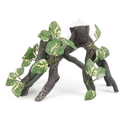 Reptile Decorations For Terrarium Amazon Com