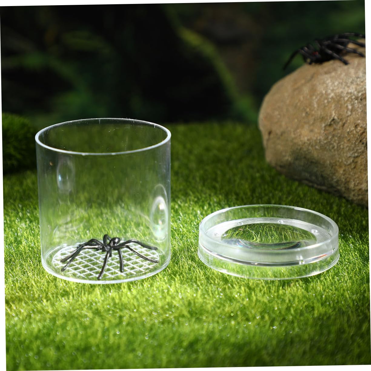 Cajas Portátiles para Insectos 9 Piezas de Plástico para Observación