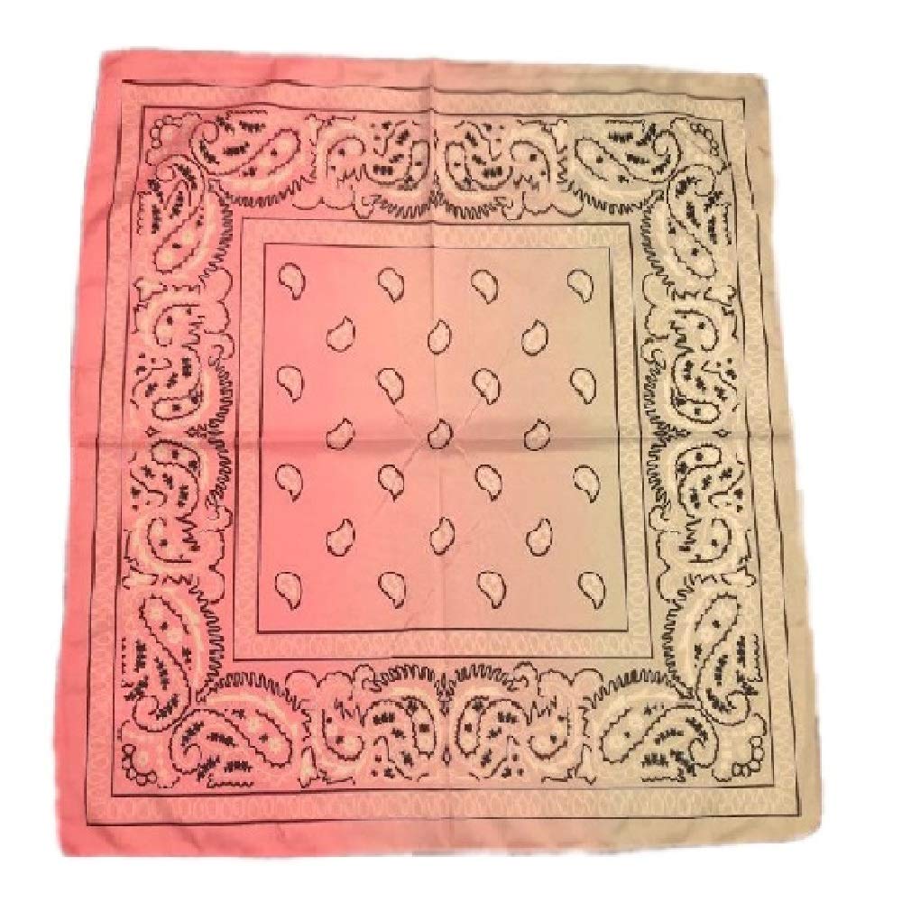 Paisley Bandanas (Pinlk/Grey)